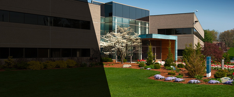 Far Hills Landscapers