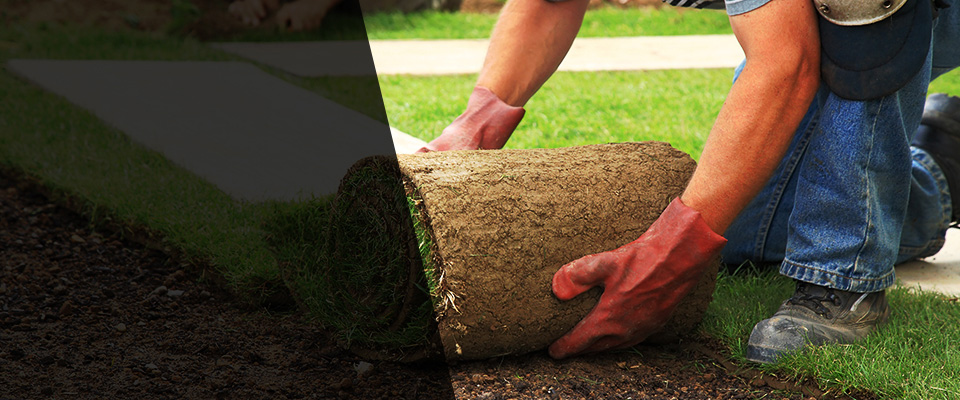 Far Hills Landscapers